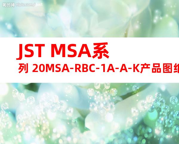 JST MSA系列 20MSA-RBC-1A-A-K产品图纸